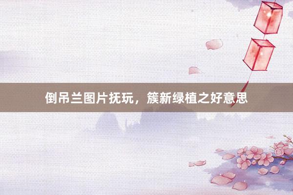 倒吊兰图片抚玩，簇新绿植之好意思
