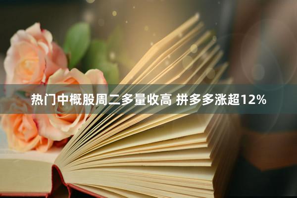 热门中概股周二多量收高 拼多多涨超12%