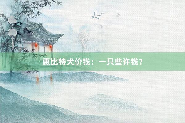 惠比特犬价钱：一只些许钱？