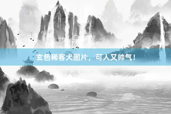 玄色稀客犬图片，可人又帅气！