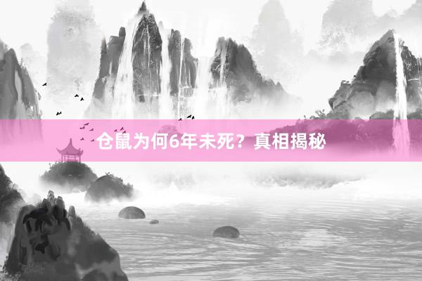 仓鼠为何6年未死？真相揭秘