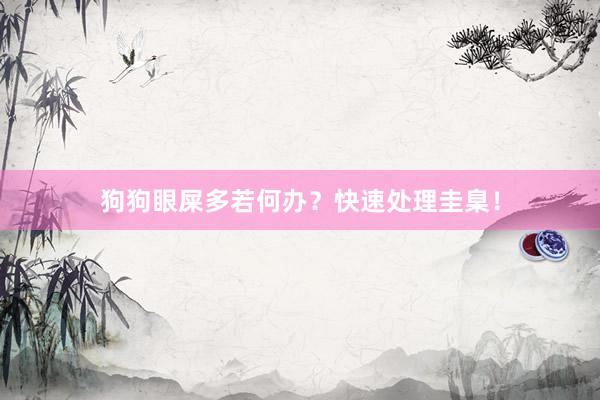 狗狗眼屎多若何办？快速处理圭臬！
